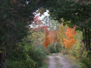 att.qDcnR7_0KYHp4-r8jJOEMVD3RTsMWHu8vxJCVxpz56k