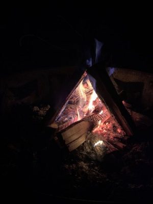 IMG_0595