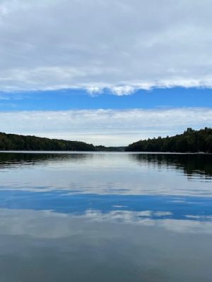 IMG_3302