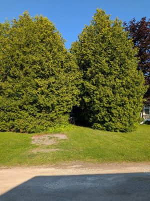 PXL_20260804_220603642