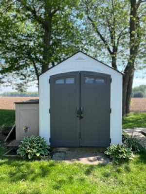 image11