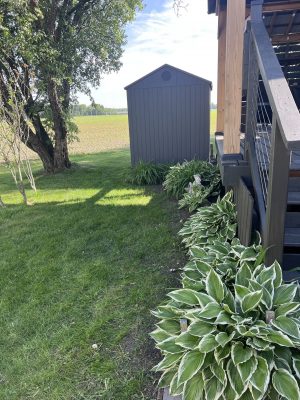 image5